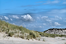 L1001037 -1_t.jpg